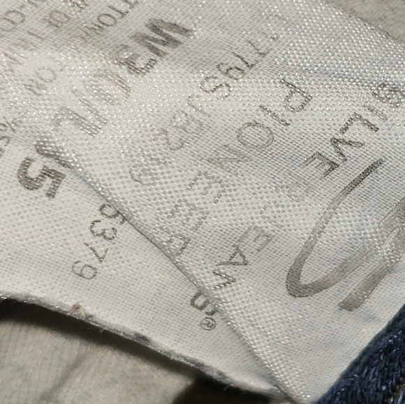 Pioneer by Silver  30x33 - Picture 7 of 8